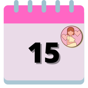 semana 15 de embarazo