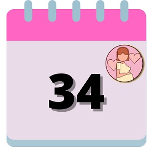 semana 34 embarazo